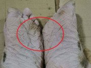 Tin tức - Lũ lụt bất thường TQ: Bức ảnh bàn chân biến dạng khiến nhiều người xúc động