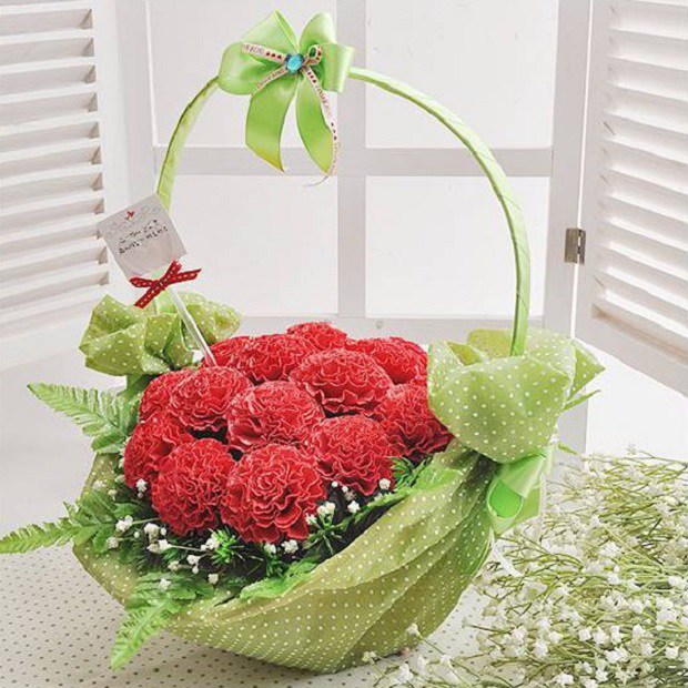 Ý nghĩa hoa cẩm chướng, cách trồng và chăm sóc giúp hoa tươi tốt - 7