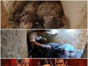 Xem ăn chơi - Xác ướp đôi nam nữ phủ đầy vàng ôm nhau trong đền cổ tiết lộ bí mật động trời