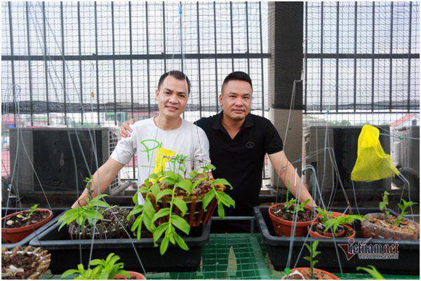hai dai gia lan hiem o ha noi: vo tinh kiem tien ty trong luc that nghiep - 1