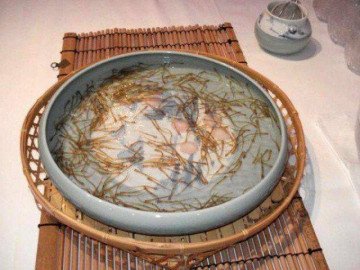 Món ăn kinh dị: Lấy can đảm ăn món nhảy tanh tách trong miệng xứ Phù tang