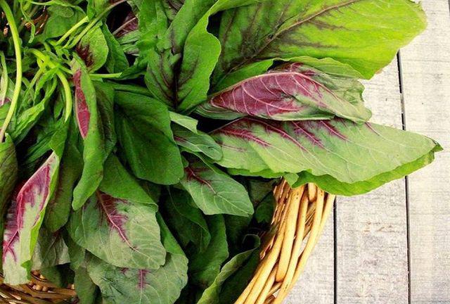 6 loại rau phải chần nước sôi trước khi nấu nếu không sẽ ăn phải độc tố nguy hiểm - 6