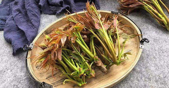 6 loại rau phải chần nước sôi trước khi nấu nếu không sẽ ăn phải độc tố nguy hiểm - 2