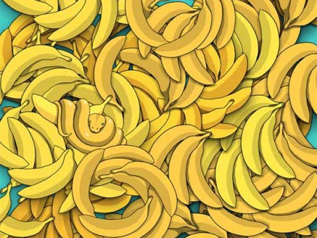 Bạn mất bao nhiêu giây để tìm thấy thứ đang trốn trong 8 bức tranh này?