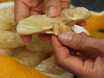 3 bài thuốc dân gian chữa đau dạ dày hiệu quả chưa đến 2 nghìn đồng