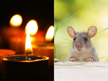 Chớ chủ quan khi gặp 4 giấc mơ này, cẩn trọng mới là hành động của người khôn ngoan