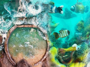 Xem ăn chơi - Tin được không, những kỳ quan thiên nhiên này thực ra là những chiếc bánh siêu ngon