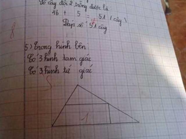 Bài toán tiểu học đếm số hình tam giác đơn giản nhưng hack não phụ huynh