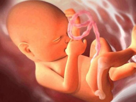 Thai 30 tuần nặng bao nhiêu kg và mẹ nên tăng cân thế nào thì tốt?