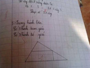 Tin tức - Bài toán tiểu học đếm số hình tam giác đơn giản nhưng "hack não" phụ huynh