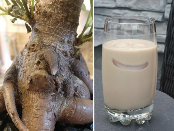 Loạt ảnh ghi lại khoảnh khắc thú vị chứng minh thế giới quanh ta còn bao điều mới lạ
