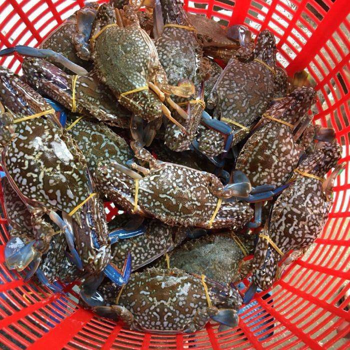 Ghẹ xanh giá siêu rẻ, chỉ 100.000 - 150.000/kg bán la liệt ở vỉa hè TP.HCM - 2