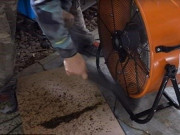Nhà đẹp - Người đàn ông diệt 4.000 con muỗi chỉ với 1 chiếc quạt, biết cách làm ai cũng muốn học theo