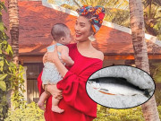 Làm mẹ - Làm dâu tập đoàn siêu giàu, Lan Khuê cho quý tử ăn loại cá nửa triệu đồng/kg