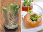 Nhà đẹp - 7 loại rau củ "tự tái sinh", không cần chăm vẫn vùn vụt lớn, ăn được quanh năm