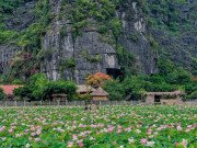 Xem ăn chơi - Tiếc hùi hụi vì bỏ lỡ mùa sen, vẫn còn hồ sen này đang nở rộ hút bạn trẻ