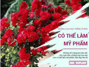 Clip Eva - Những loại hoa tuyệt đẹp trồng ở nhà còn có thể làm mỹ phẩm đẹp da