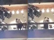 Tin tức - Đang ân ái ngoài ban công, cô gái trẻ rơi từ tầng 5 xuống đất tử vong