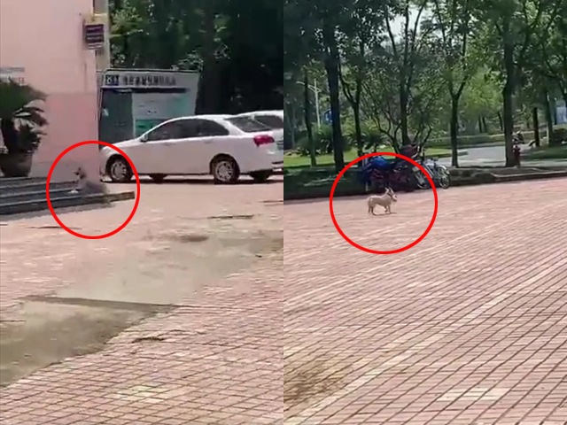 Giao hàng tận cửa nhưng khách liên tục báo không nhận được, anh shipper ngỡ ngàng khi biết sự thật