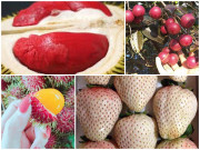 Tiêu dùng - Loạt hoa quả có màu sắc kỳ lạ khó tin, giá "ngất ngưởng" vẫn bán ầm ầm vì lạ mắt