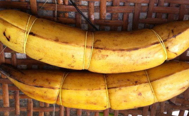 Chiêm ngưỡng loại chuối khổng lồ, mỗi quả nặng gần 1kg ở VN - 8
