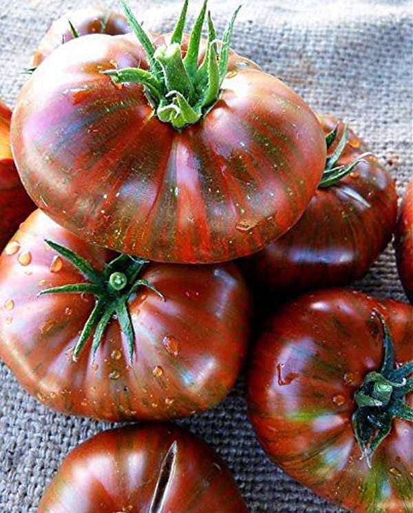 Những giống cà chua “siêu bổ-sạch-ngon” nhìn đã mê, ăn lại càng phê - 3