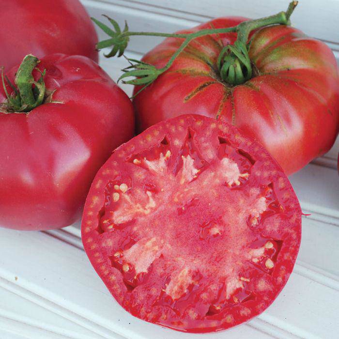 Những giống cà chua “siêu bổ-sạch-ngon” nhìn đã mê, ăn lại càng phê - 5