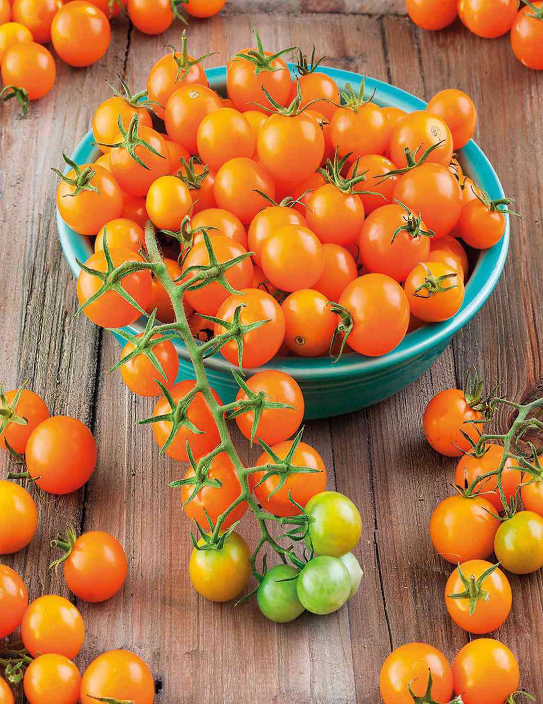 Những giống cà chua “siêu bổ-sạch-ngon” nhìn đã mê, ăn lại càng phê - 9