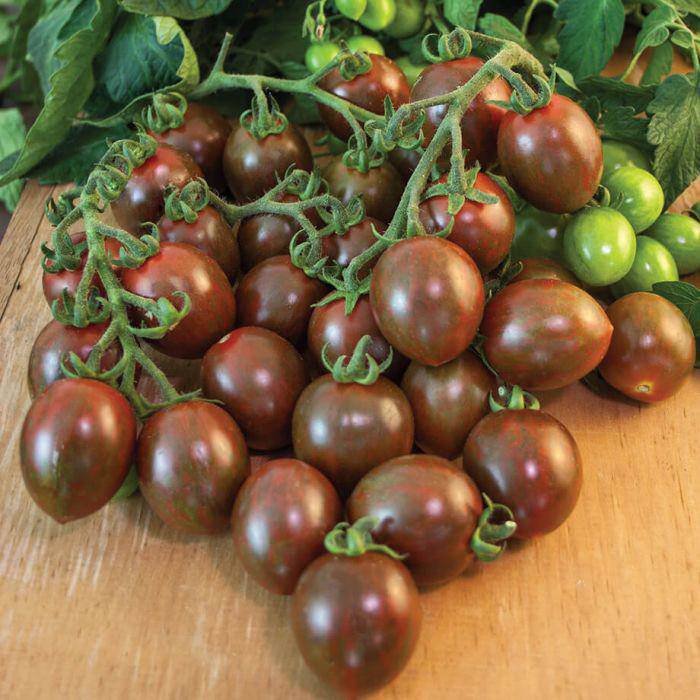 Những giống cà chua “siêu bổ-sạch-ngon” nhìn đã mê, ăn lại càng phê - 10