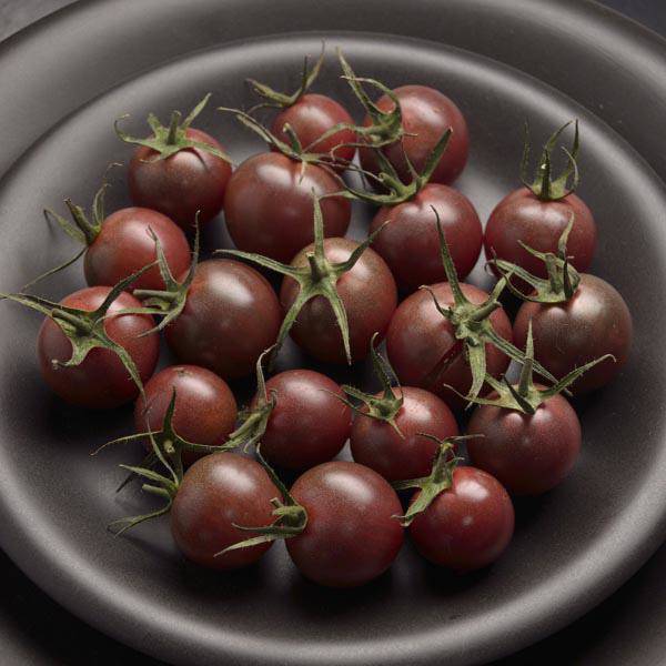 Những giống cà chua “siêu bổ-sạch-ngon” nhìn đã mê, ăn lại càng phê - 11
