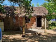 Tin tức - Vợ tố bị chồng đánh đập suốt 11 năm trong căn nhà giữa rẫy cao su vì "không biết đẻ"