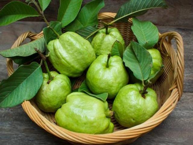 Tác dụng của quả ổi? Nên ăn ổi vào lúc nào?