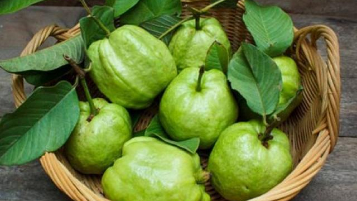 Tác dụng của quả ổi? Nên ăn ổi vào lúc nào?
