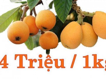 Cây mọc dại ven đường đột nhiên sốt 4 triệu/kg, người bán thu tiền mỏi tay
