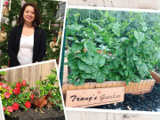 Nhà đẹp - Mẹ Việt sang Mỹ tự cuốc đất trồng cây, nuôi 36 con gà,... ăn không hết phải mang cho