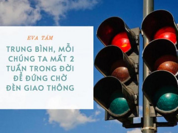 Loạt sự thật hài hước về thế giới xung quanh khiến bạn phải ngỡ ngàng