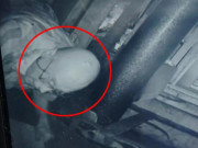 Tin tức - Đêm nào cũng nghe tiếng lục sục trên gác mái, cặp vợ chồng lắp camera phát hiện điều khủng khiếp