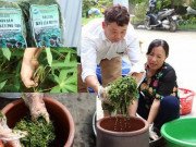 Xem ăn chơi - Phú Thọ: Rau "nhà nghèo" một thời ăn chống đói, nay là đặc sản, thu cả triệu đồng mỗi ngày