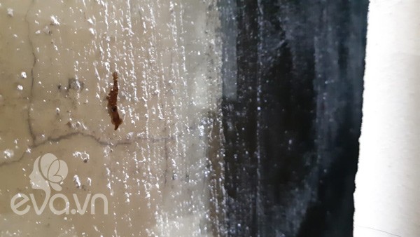 Vụ bé sơ sinh bị bỏ giữa khe tường: amp;#34;Nghe âm thanh lạ như tiếng mèo kêu từ 3h sángamp;#34; - 7