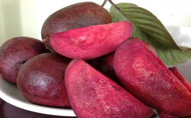 Kì lạ giống ổi thâm tím, bổ ra nhìn như thanh long đang được bán ở Việt Nam - 12