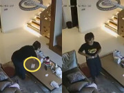 Tin tức - Kiểm tra camera phòng khách, chủ nhà phát hiện hành vi bệnh hoạn của cô giúp việc