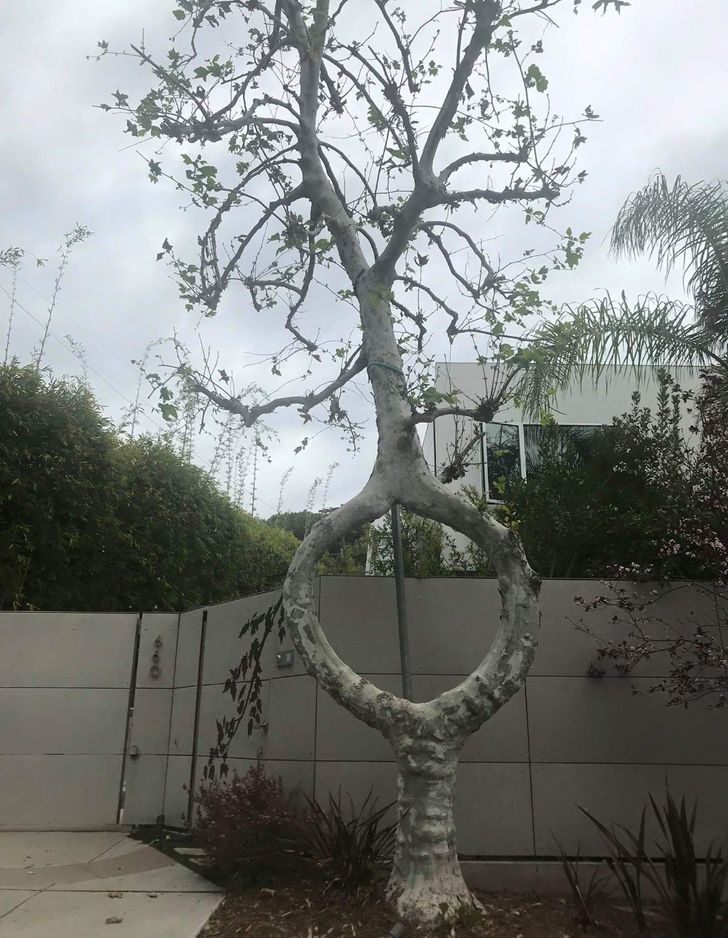 Loạt hình ảnh kỳ cục khiến người xem “phát điên” vì không hiểu chuyện gì đang xảy ra - 4