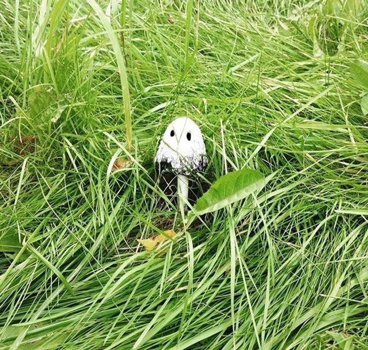 Loạt hình ảnh kỳ cục khiến người xem “phát điên” vì không hiểu chuyện gì đang xảy ra - 10