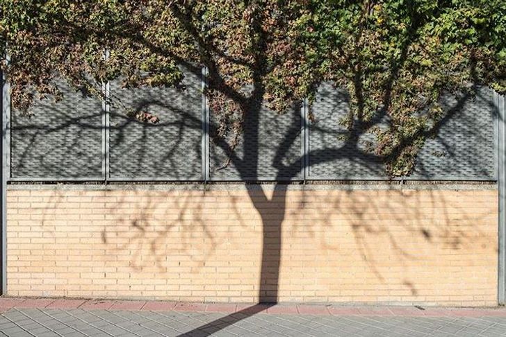 Loạt hình ảnh kỳ cục khiến người xem “phát điên” vì không hiểu chuyện gì đang xảy ra - 13