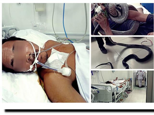 Gia cảnh nghèo khó của người đàn ông mang rắn độc đến bệnh viện sau khi bị cắn