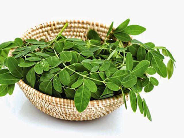 Cách làm bột  rau chùm ngây cho bé ăn dặm giữ nguyên dinh dưỡng - 1