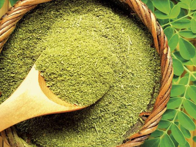 Cách làm bột  rau chùm ngây cho bé ăn dặm giữ nguyên dinh dưỡng - 4