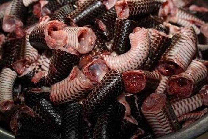 Về miền Tây, cố vượt qua sự sợ hãi mà thử amp;#34;cực phẩmamp;#34; lẩu rắn hổ hành ngon bá cháy - 5