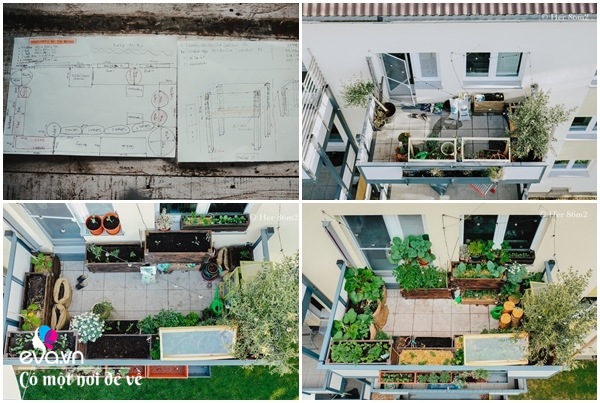 9X Hà Nội tận dụng ban công 8m² thành vườn rau xanh rì, ai nhìn cũng bái phục - 4