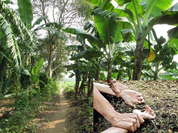 Tin tức 24h: Bị gia đình Trọng Hưng tổng tấn công, nữ giảng viên Âu Hà My phản ứng amp;#34;sốcamp;#34; - 3